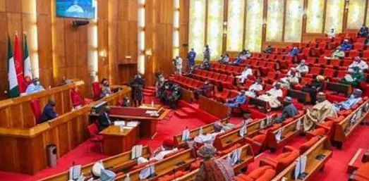 Senate passes National Identity Management Commission Bill